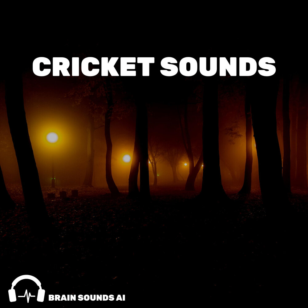 Control room студия звукозаписи. Endel приложение. Гокта перу. Ай саунд. Ай саунд.