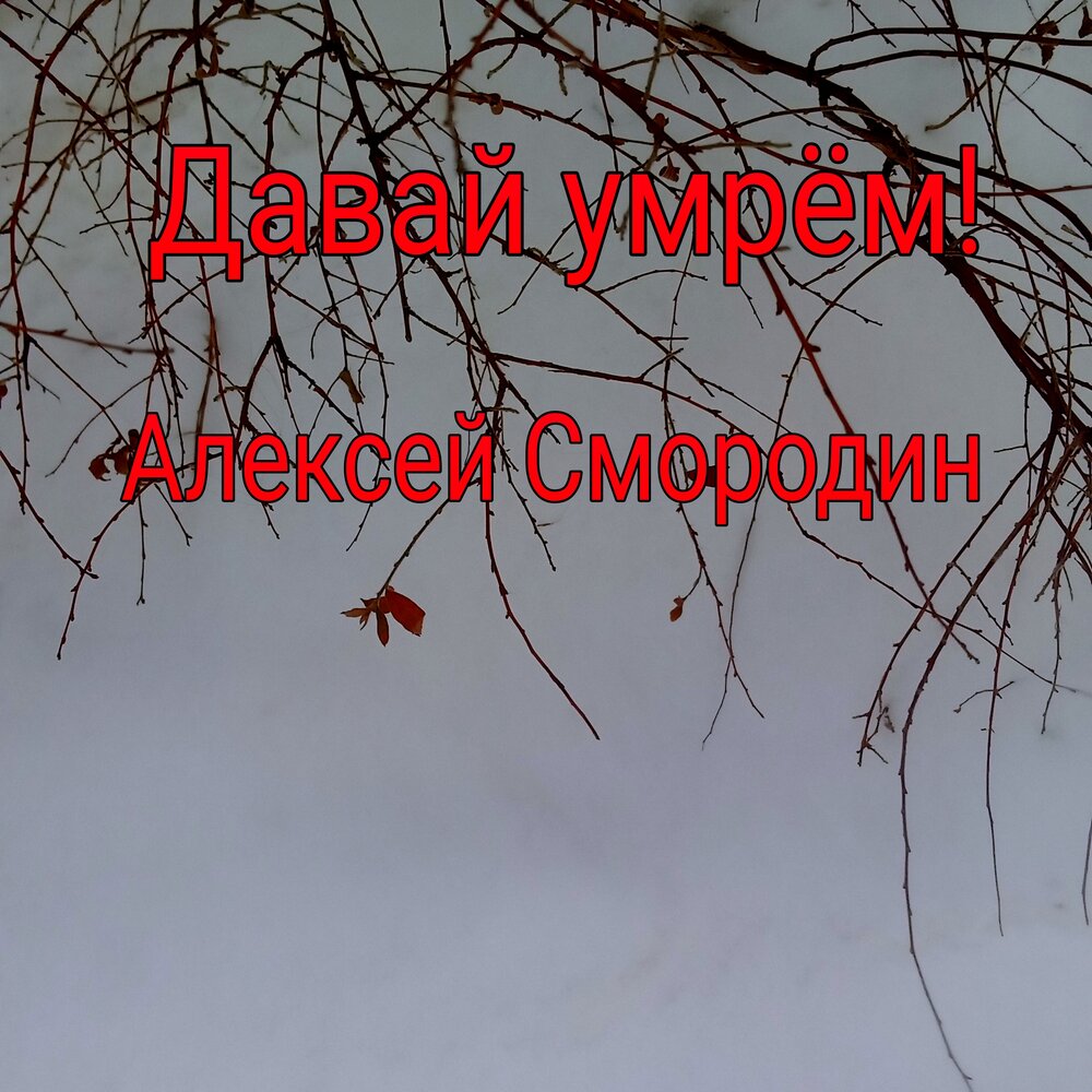 Шнуров смородину