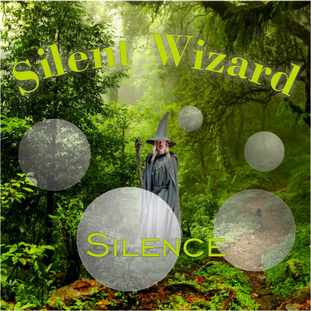 Wizard песня. Silent Wizard butcamp. Dark Wizard of Silence. @Silent_Wizard_707.