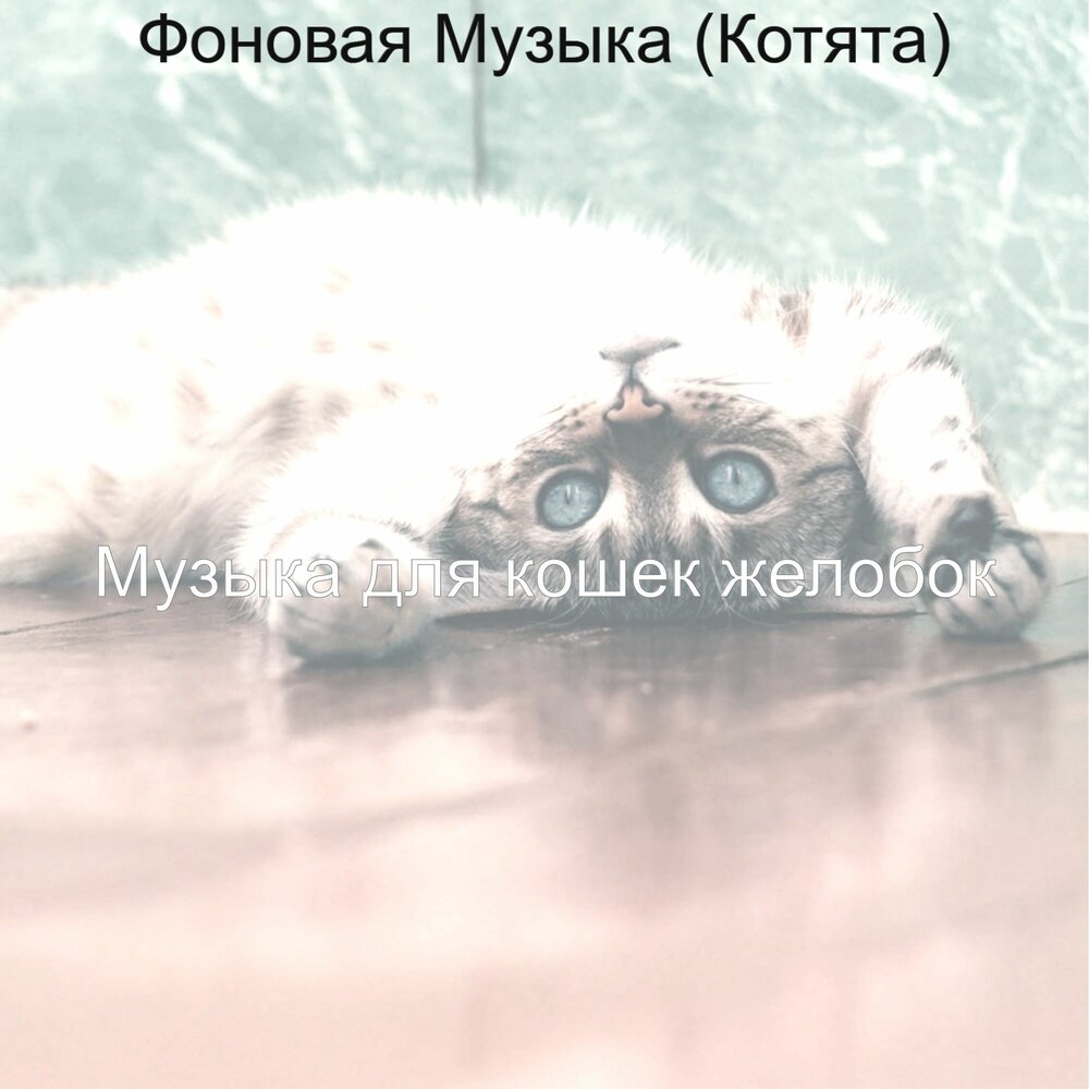 Музыка для котят