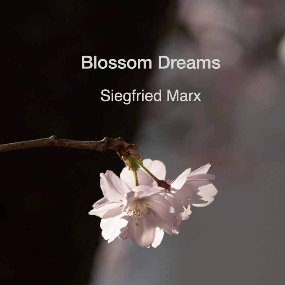 Dream blossom