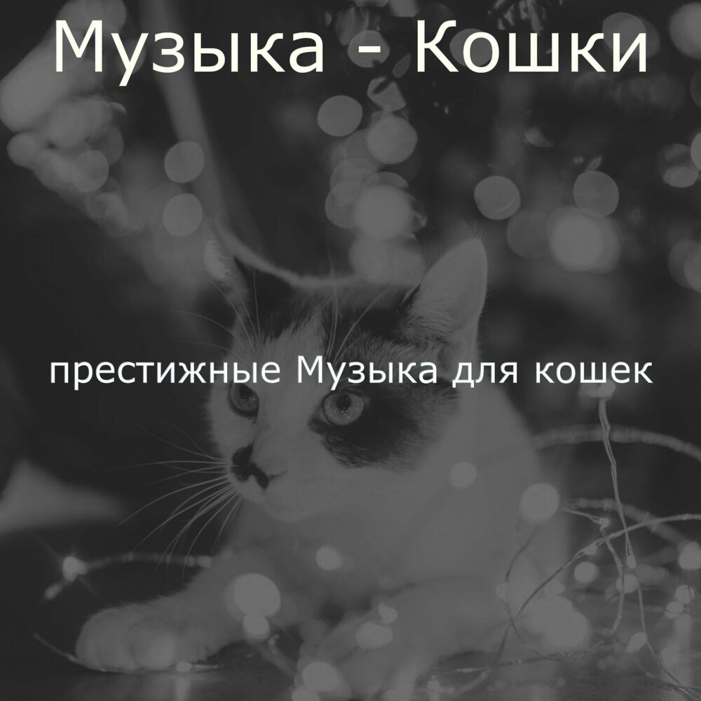 Музыка для кошек слушать