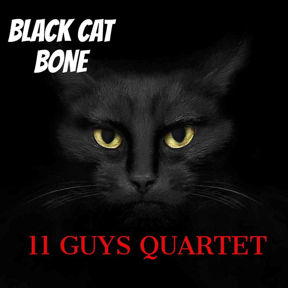 Black cat bone. Обложка альбома черный кот. Блюз для черного кота. Блюз черная кошка группа.