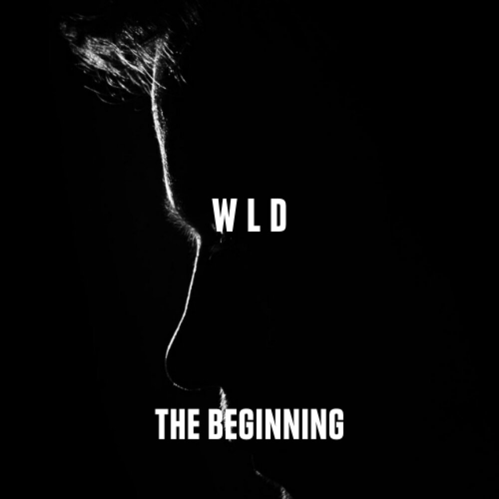 Альбом the beginning