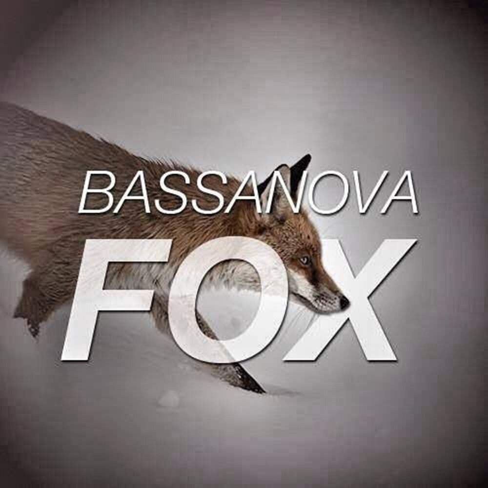 Fox original. Альбом лисы. Fox Music. Loner Fox. Бассанова.
