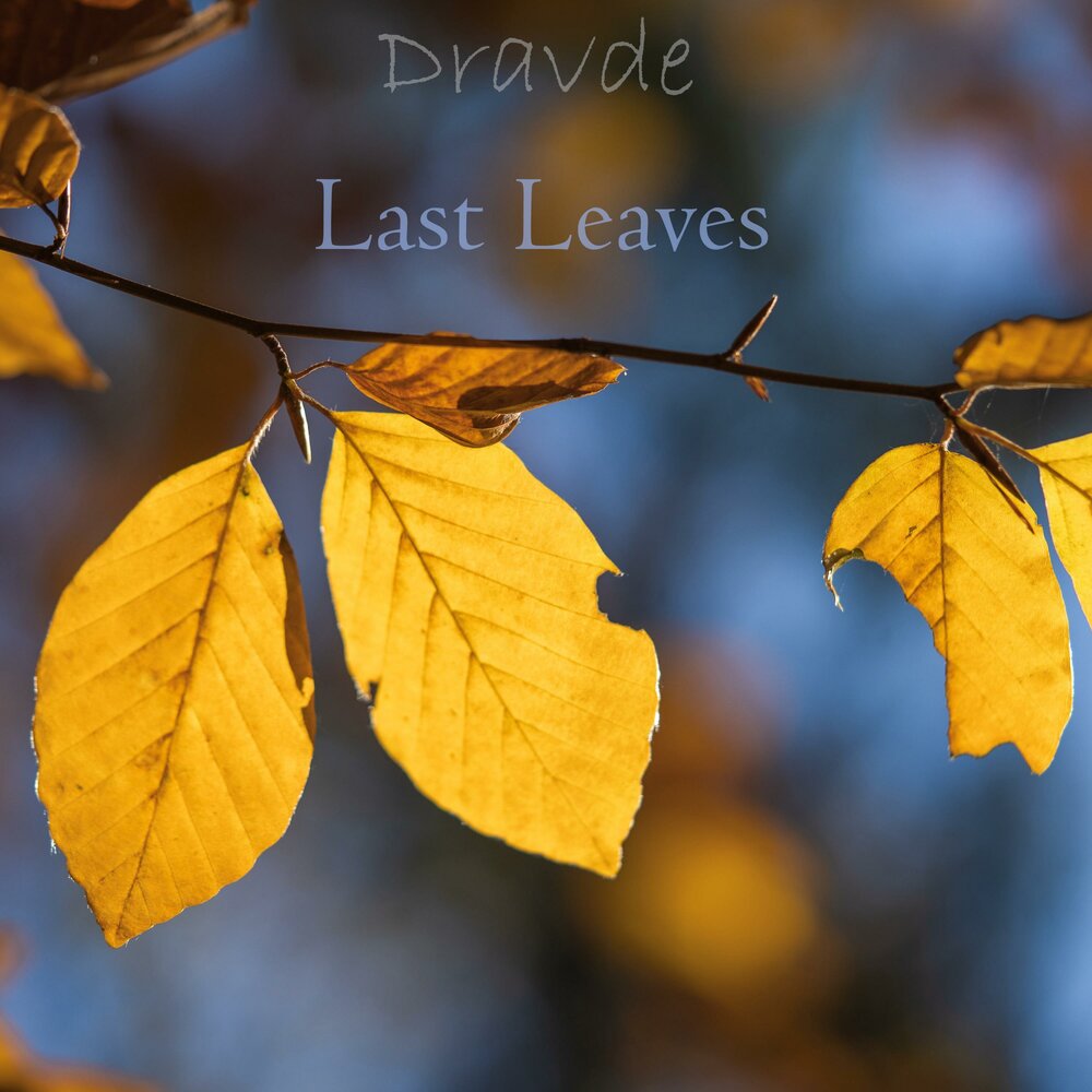 Last leaves. The last Leaf.