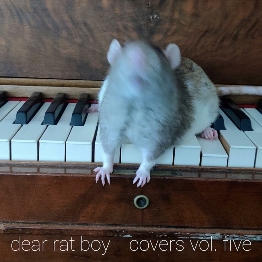 Who s ready for tomorrow rat boy. Whos ready for tomorrow rat boy. Rat boy who's ready for tomorrow.