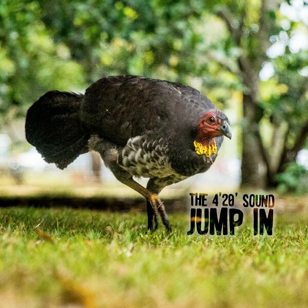 track-cover
