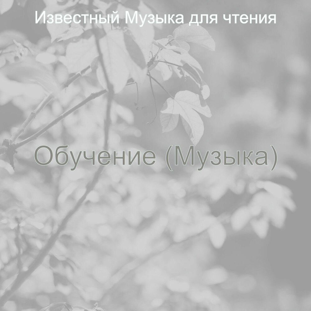 Фоновая музыка для чтения. Музыка для чтения книги без слов спокойная. Фоновая музыка для чтения книг. Музыка для чтения книги без слов спокойная. Спокойная музыка для чтения книг.