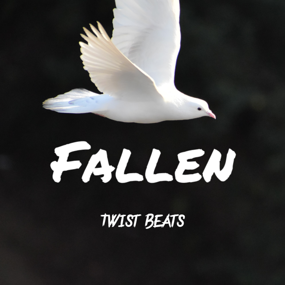 Dj fallen