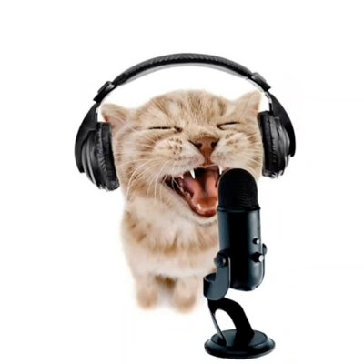 Китайский рэп мем с котом