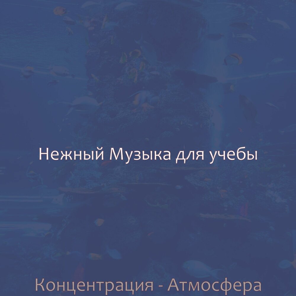 Песни для учебы и концентрации. Музыка для концентрации внимания. Музыка для концентрации. Музыка для работы учебы и концентрации. Музыка для учёбы и концентрации внимания.