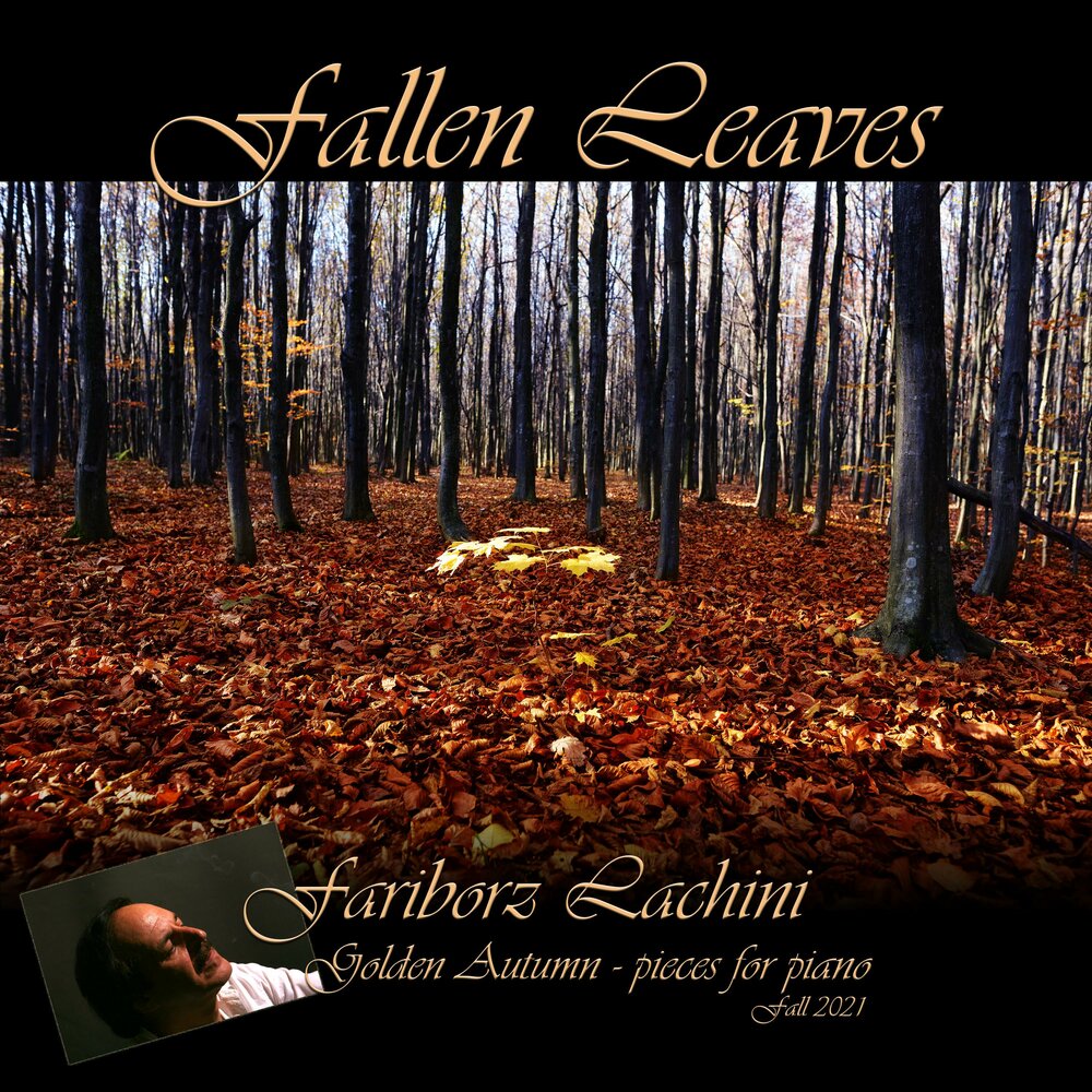 Autumn leaves mp3. Meteor tal farlow notes. Кровь на осенних листьях. Autumn leaves mp3. Листопад зеленый.