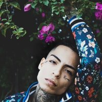 artist-cover