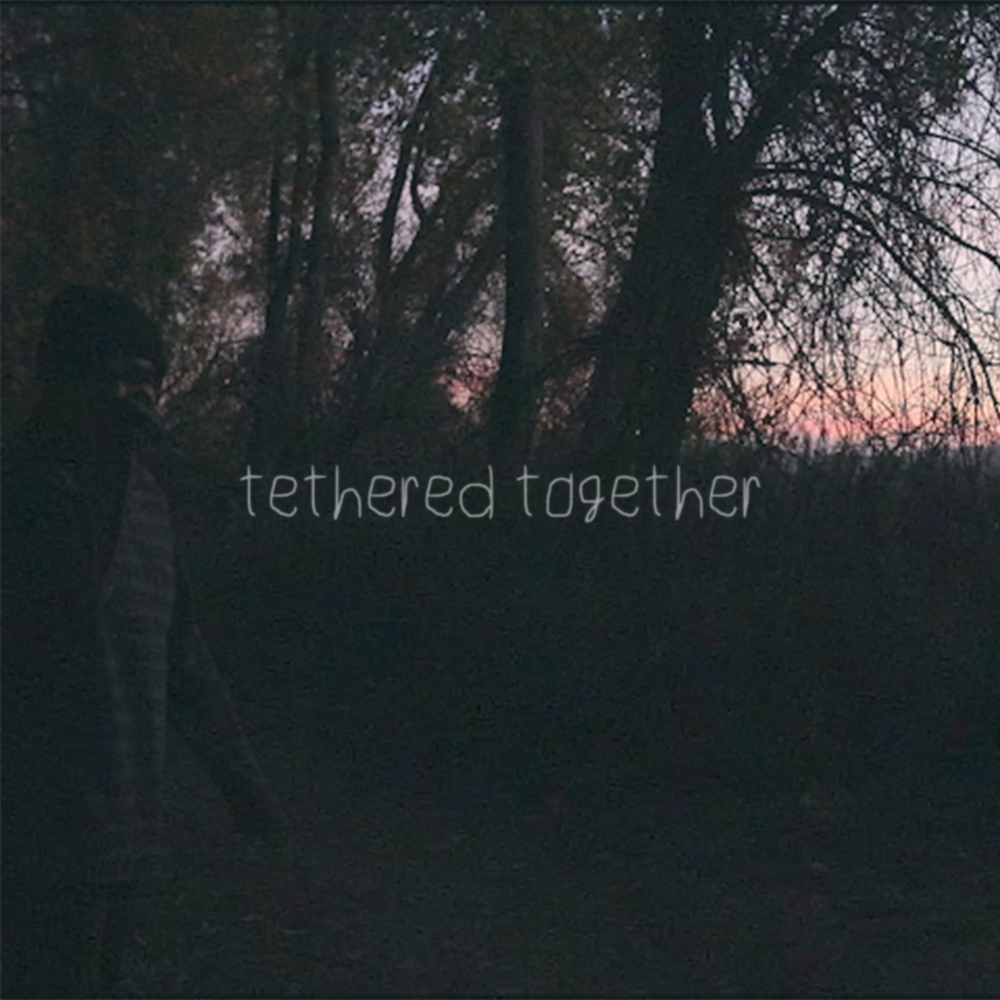 Same night. Night Gatherings. Музыка Tethered. Were Tethered together.