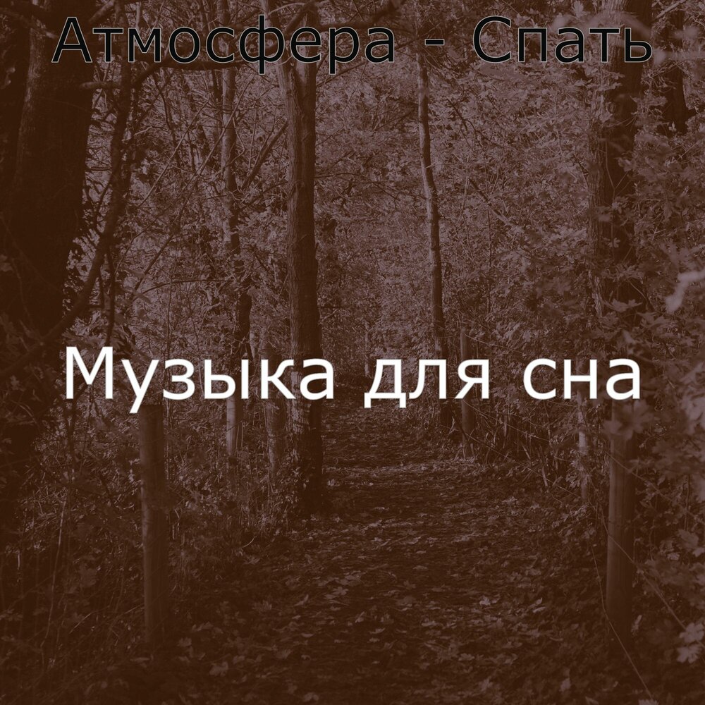 Музыка для сна альбомы. Музыка сна для засыпания. Музыка для сна альбомы. Музыка для сна альбомы. Мелодия для сна спокойная.