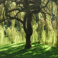 Marc Andrew Hoffman Music