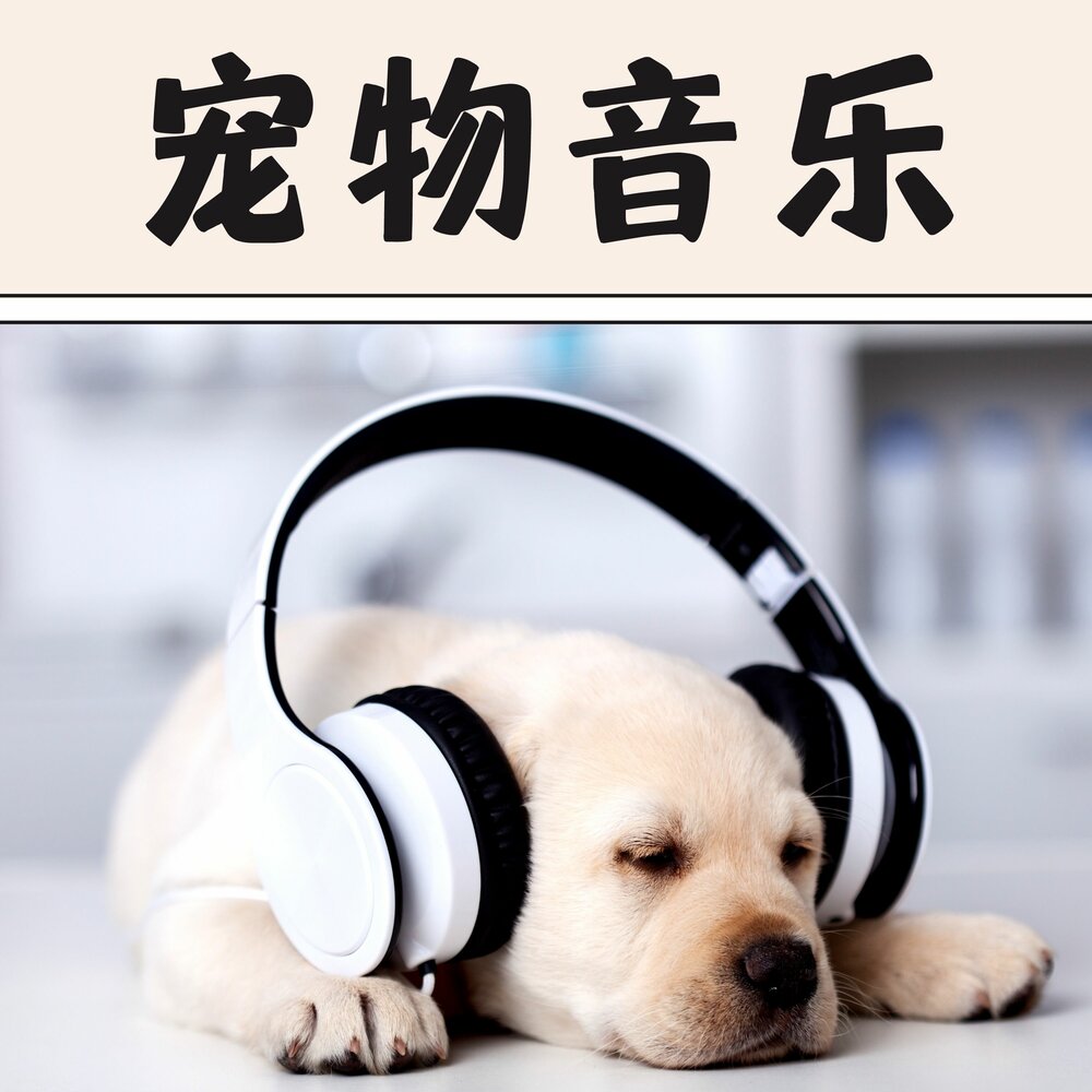 Music pets