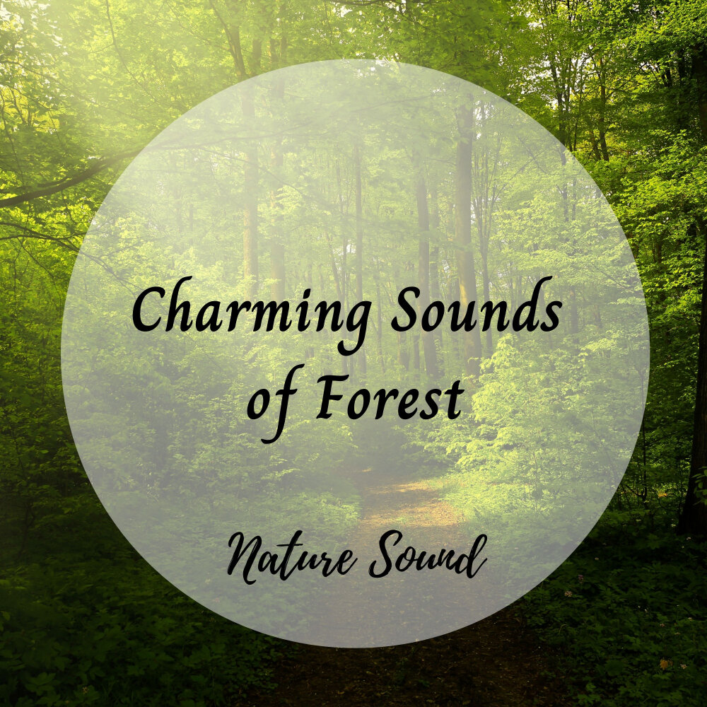 Charming sound. Library with nature.