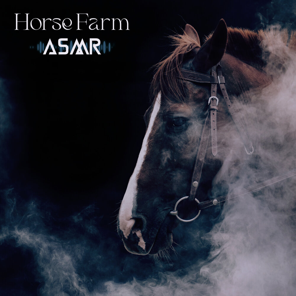 Horses альбом. Horse Sound. Horse Effect. Horse Sound Effect. Horse ASMR.