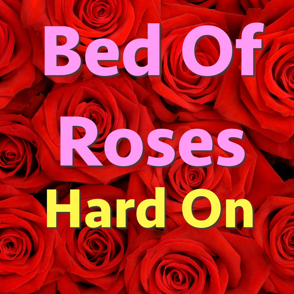 A Bed of Roses. Rose Bad. No Bed of Roses. Bed of Roses bon Jovi.