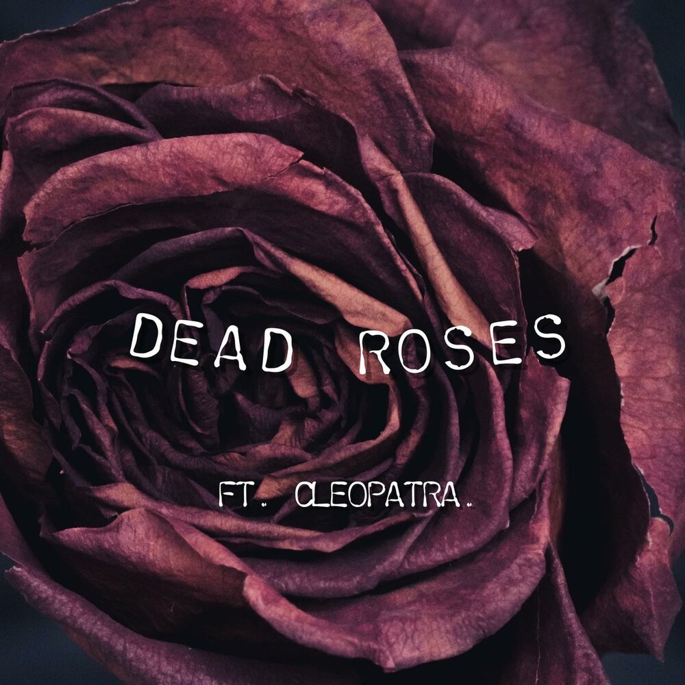 Dead roses