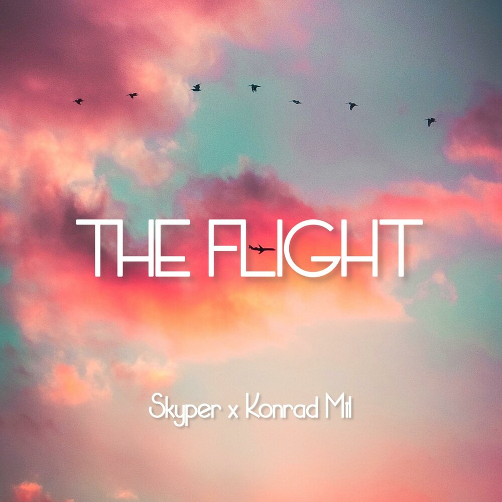Skyper the flight