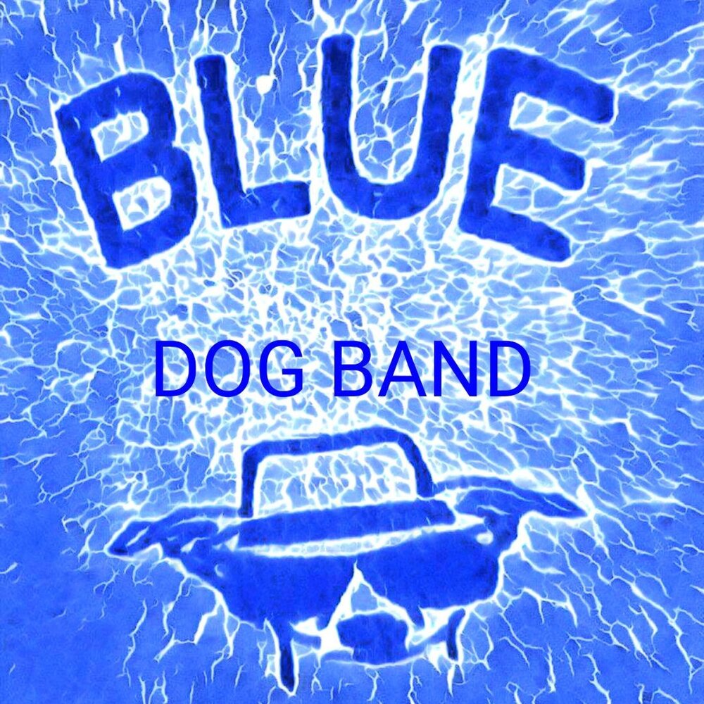 Dog band