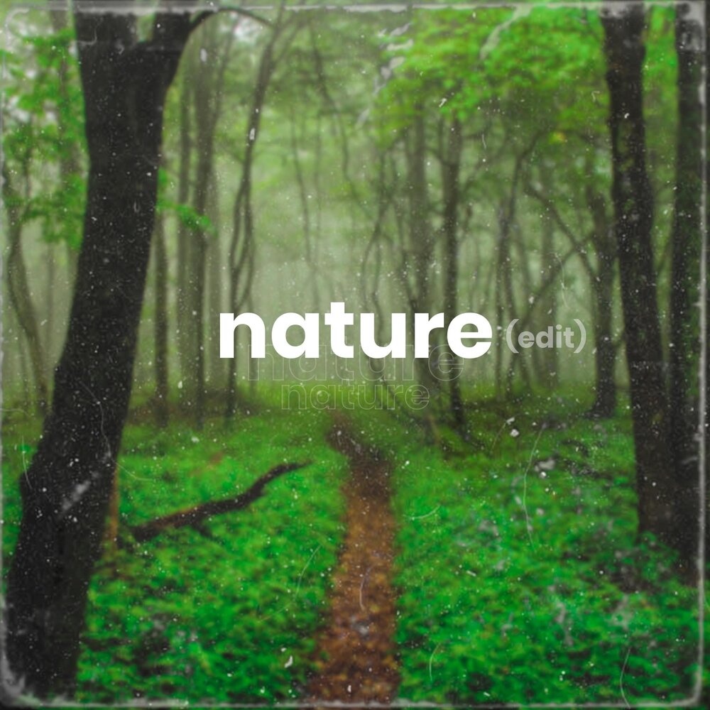 Naturals mp3. Nature Song. Rays of Serenity. Rays of Serenity soundcloud.