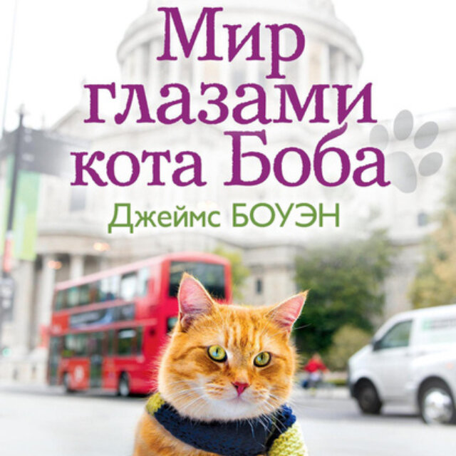 Книга глазами кота. Боуэн мир глазами кота Боба. Мир глазами уличного кота Боба.