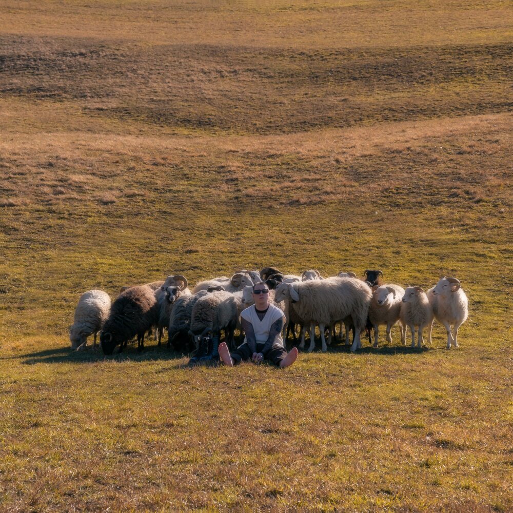 track-cover