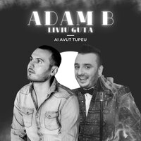 Adam B