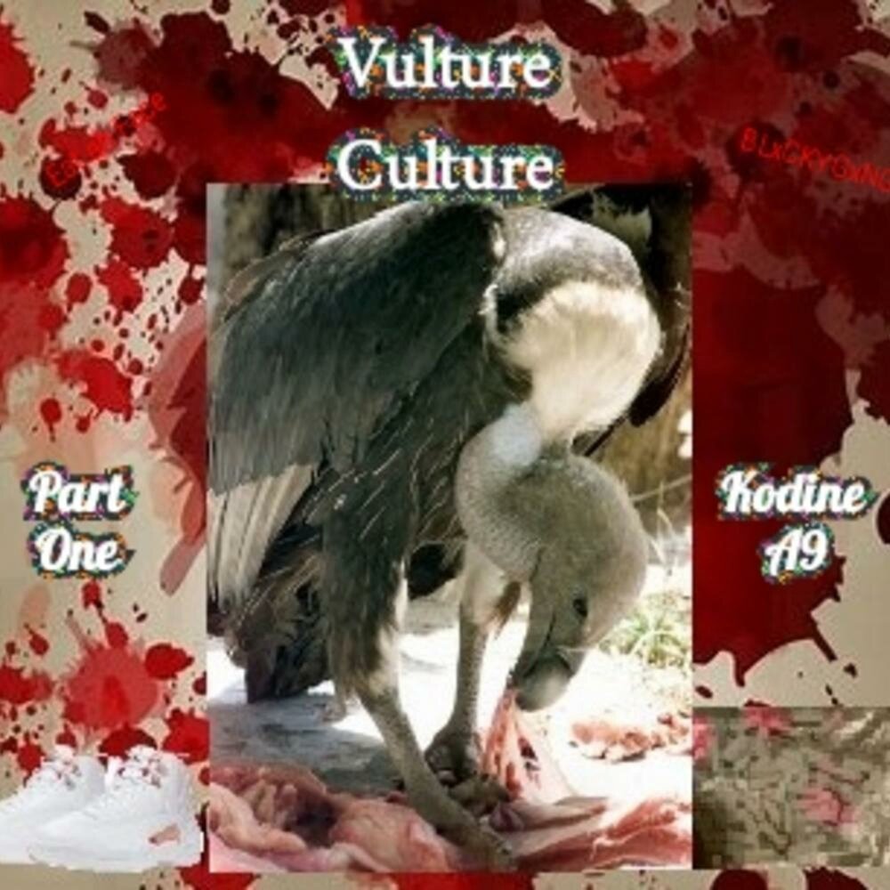 Vultures album. Vulture Culture. Culture Vulture идиома. Vultures альбом. Культура стервятников.