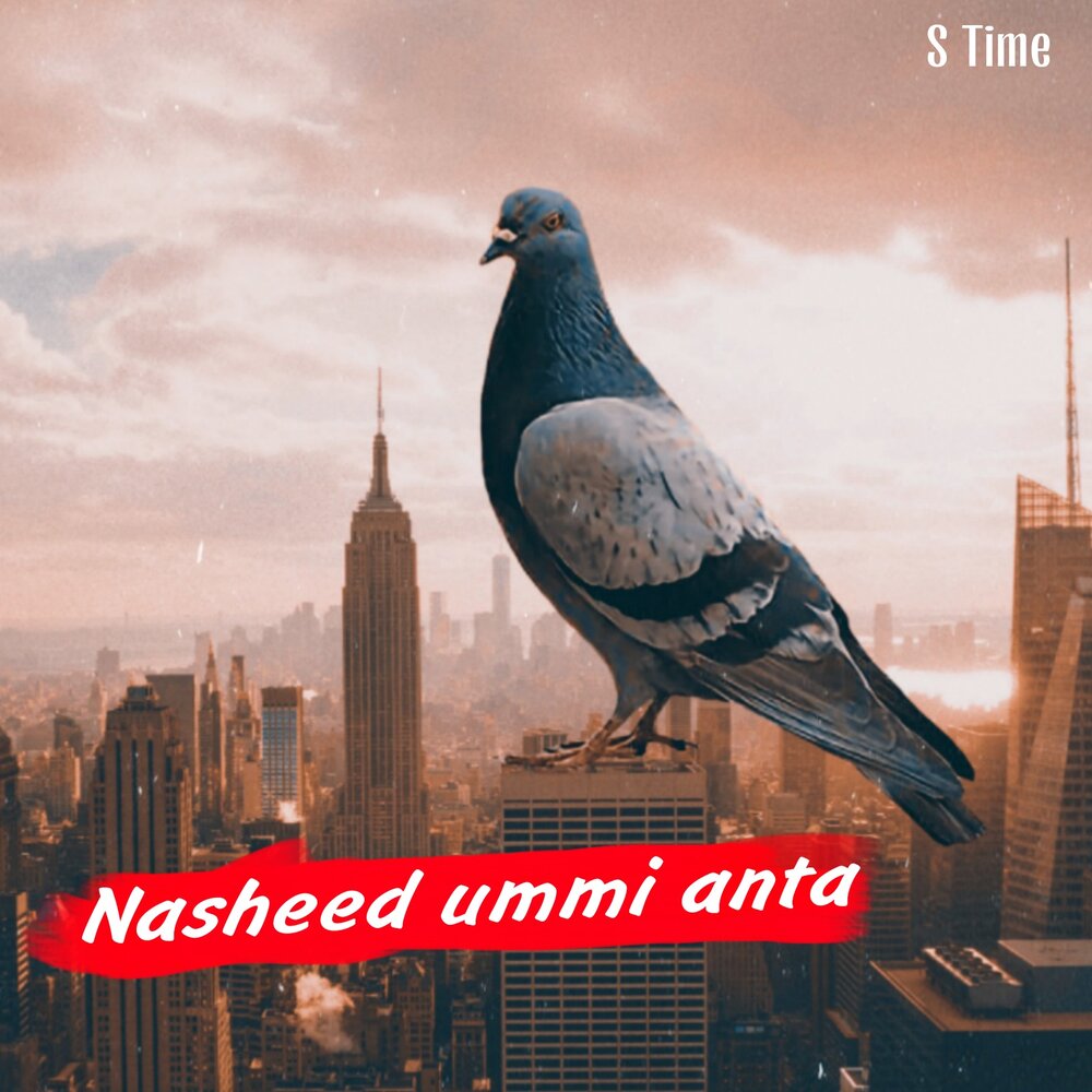 Нашид Умми Анта. Nasheed Ummi Anta s time. Nasheed от s time. Нашид Умми Анта текст.