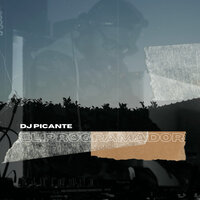 Dj Picante