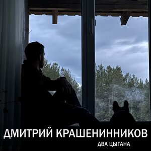 Дмитрий Крашенинников