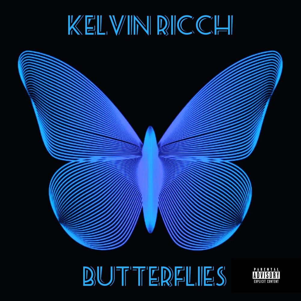 Butterfly recording. Butterfly record. Vinyl record with Butterfly image.