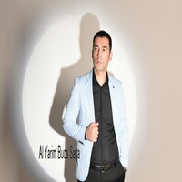 artist-cover