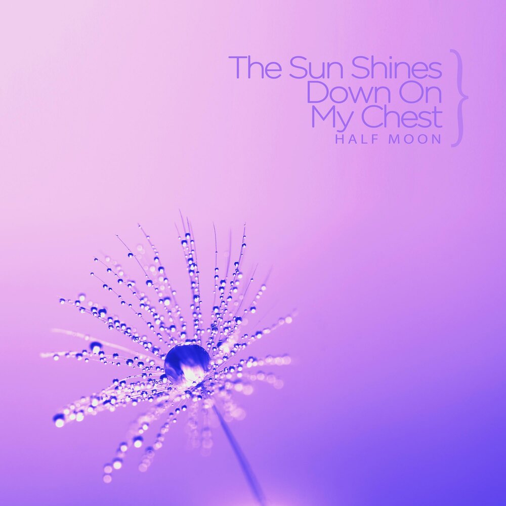 Lupe fiasco spotify. Shinedown 2022. Shinedown brent smith 2008. Shinedown обои. Brent smith.