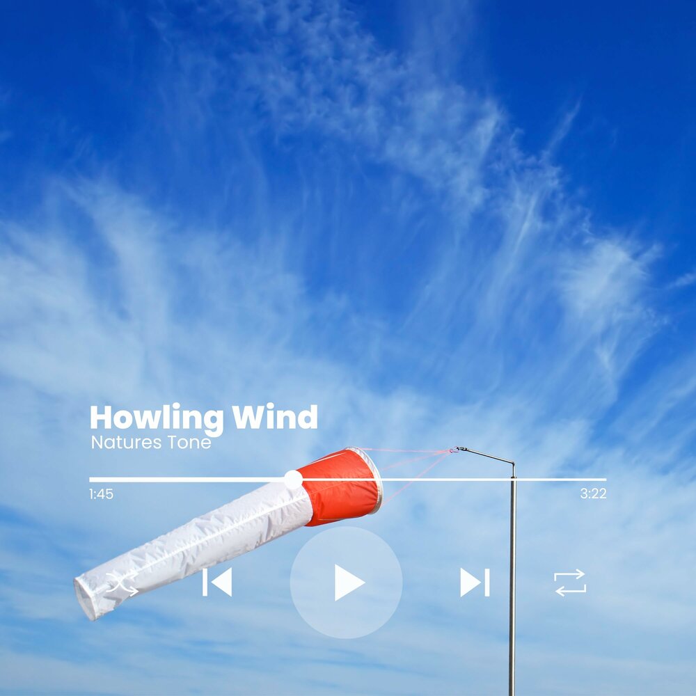 Hunger of the howling winds фон. Howling wind. Звук ветра. The wind is howling pics. Саунд ветер.