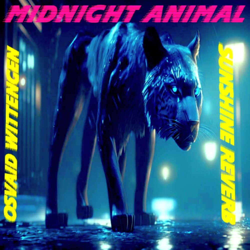 Midnight animal