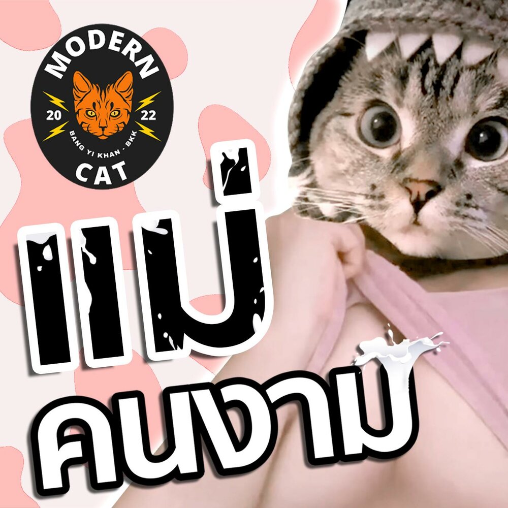 Слушать кэт. Cat album Covers.