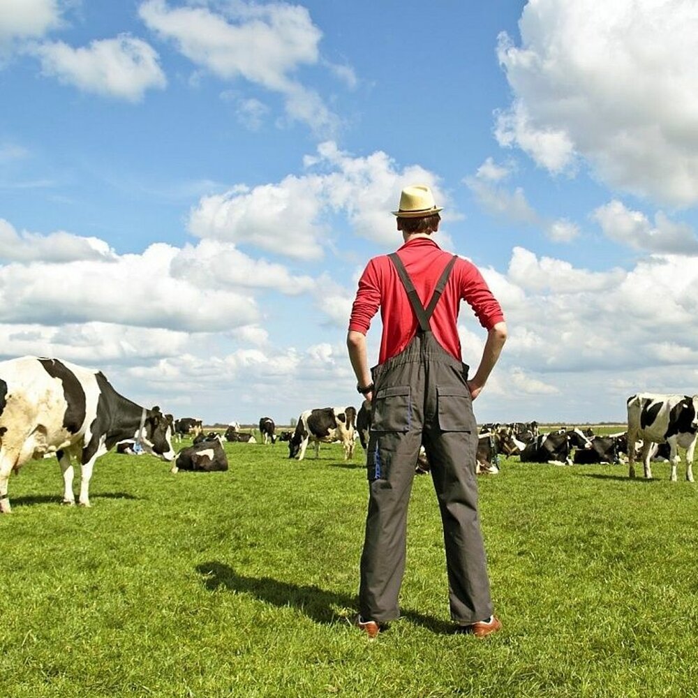 France farmers. Сельское хозяйство фермер. Крестьянское фермерское хозяйство. Работник фермы. Фермер с коровой.