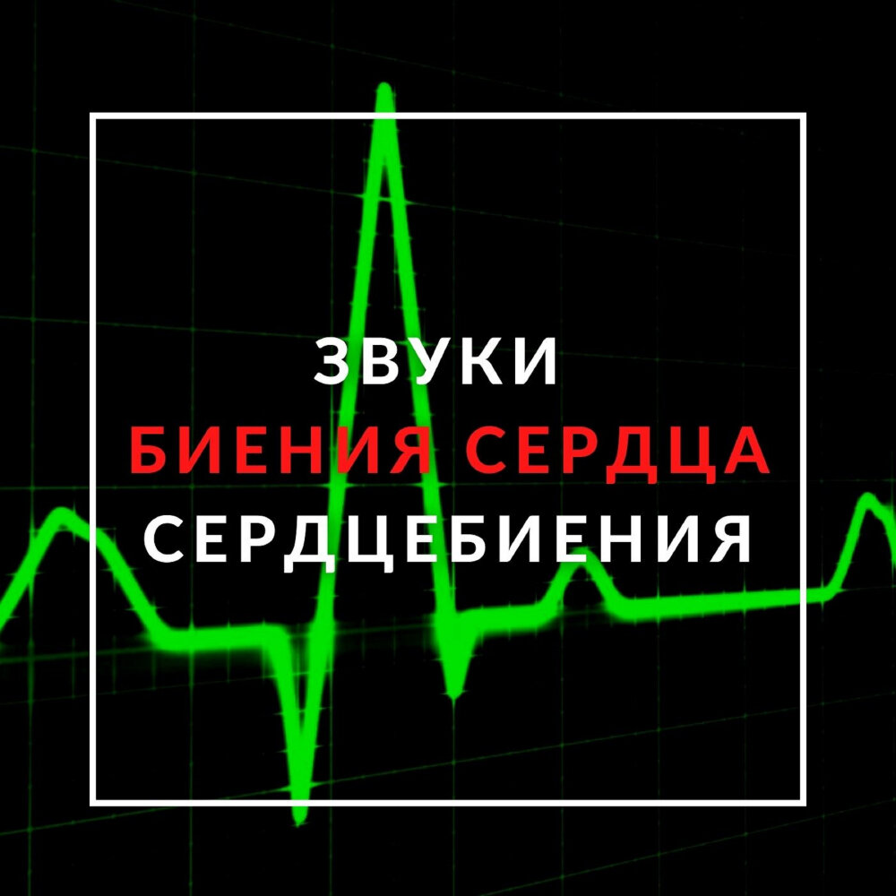 Звук сердца. Биение сердца звук. Звук бьющегося сердца. Пульс звук. Последние биение сердца.