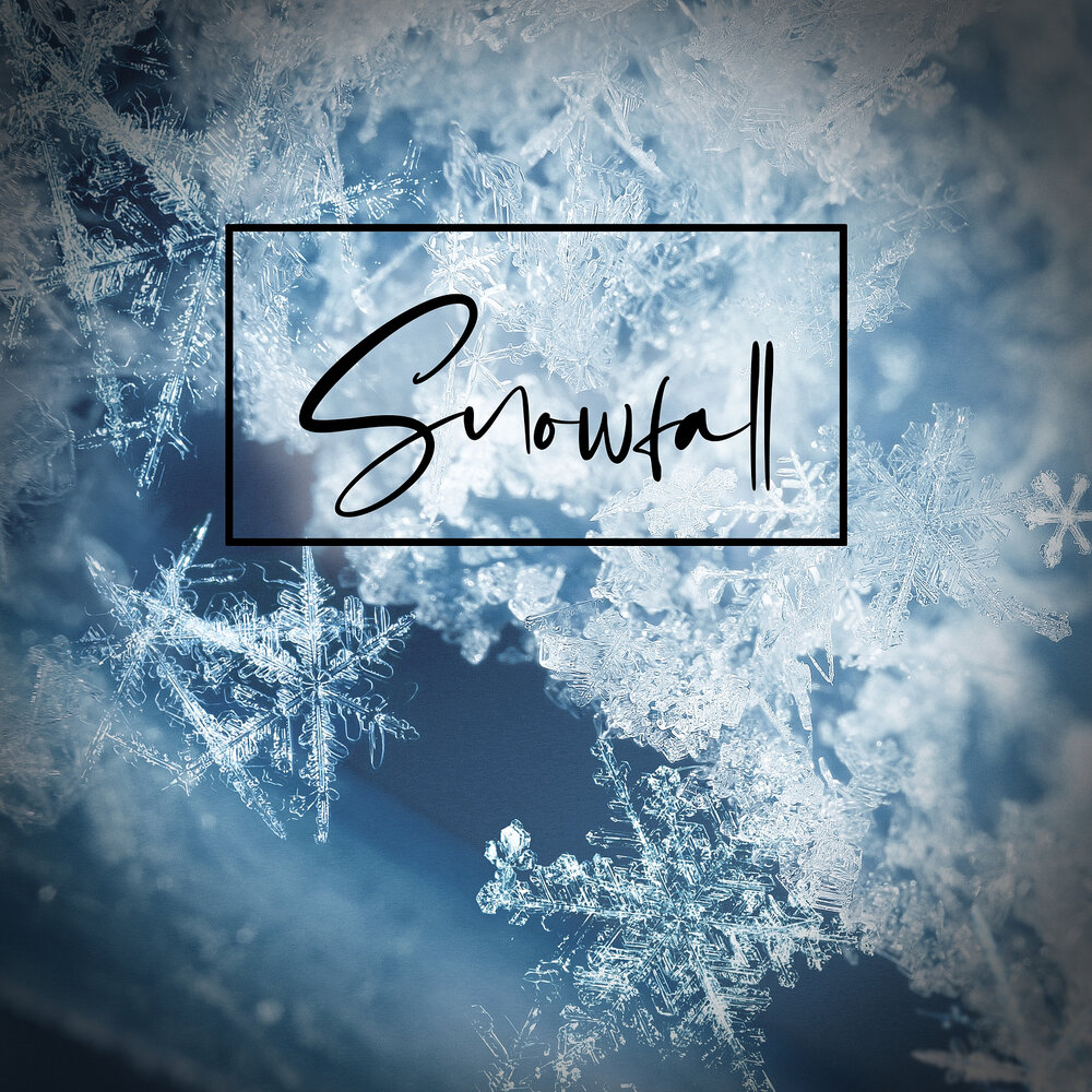 Snow snow album