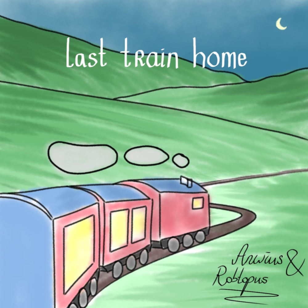 Last train home