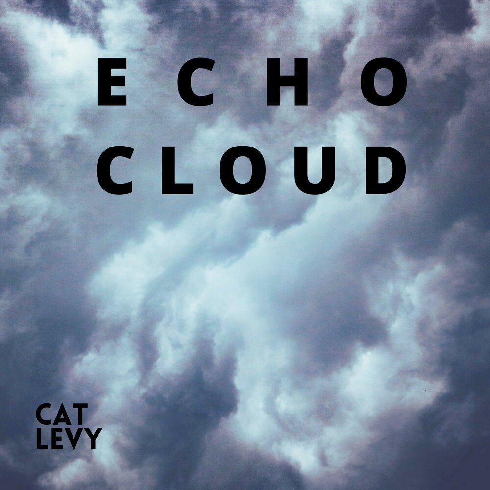 Эхо облаков. Облака Эхо. C.A.T.S облако в 2023. Cloudy Cat.