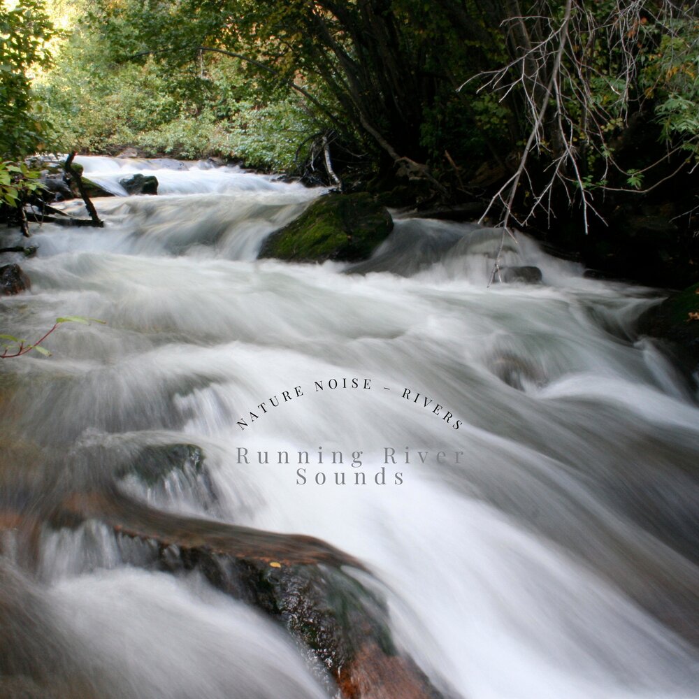 Noisy River. Slow River. Звуки реки слушать.