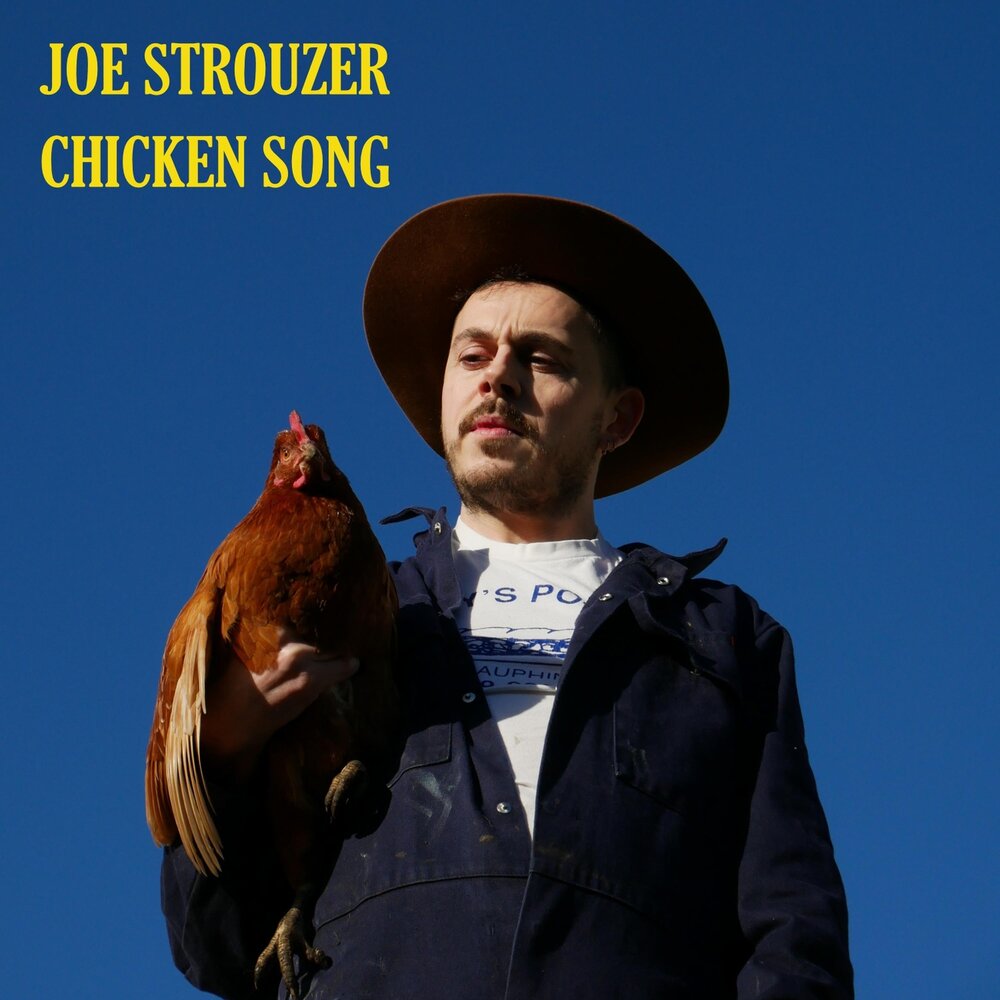 Включи песню чикен. Chicken Song. Песни про курицу. Strouzer.