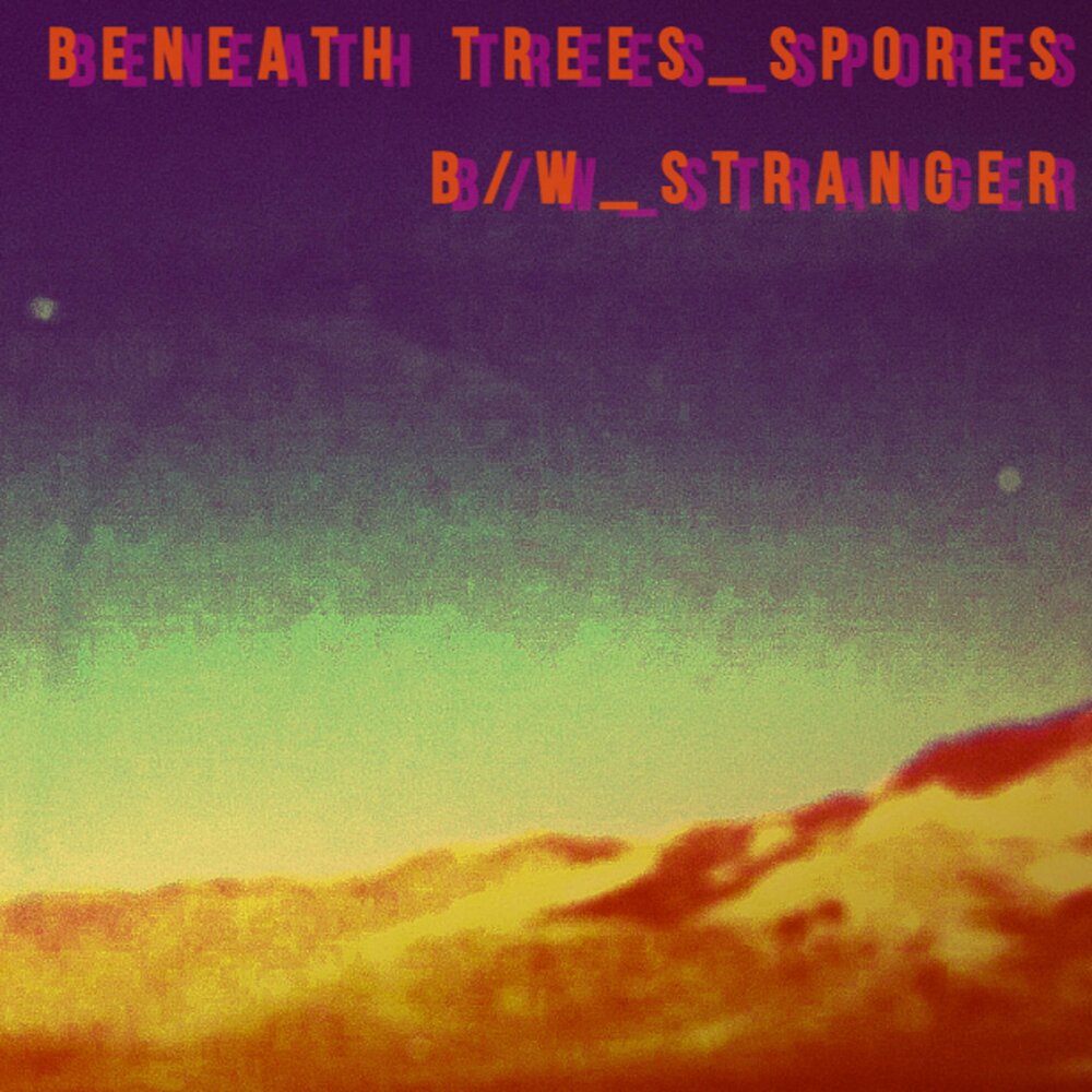 Beneath the trees